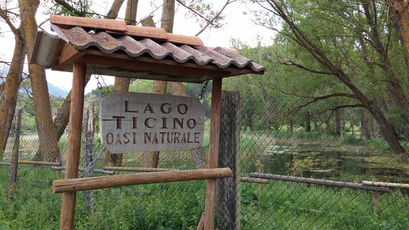 «Area Naturale Lago Ticino»